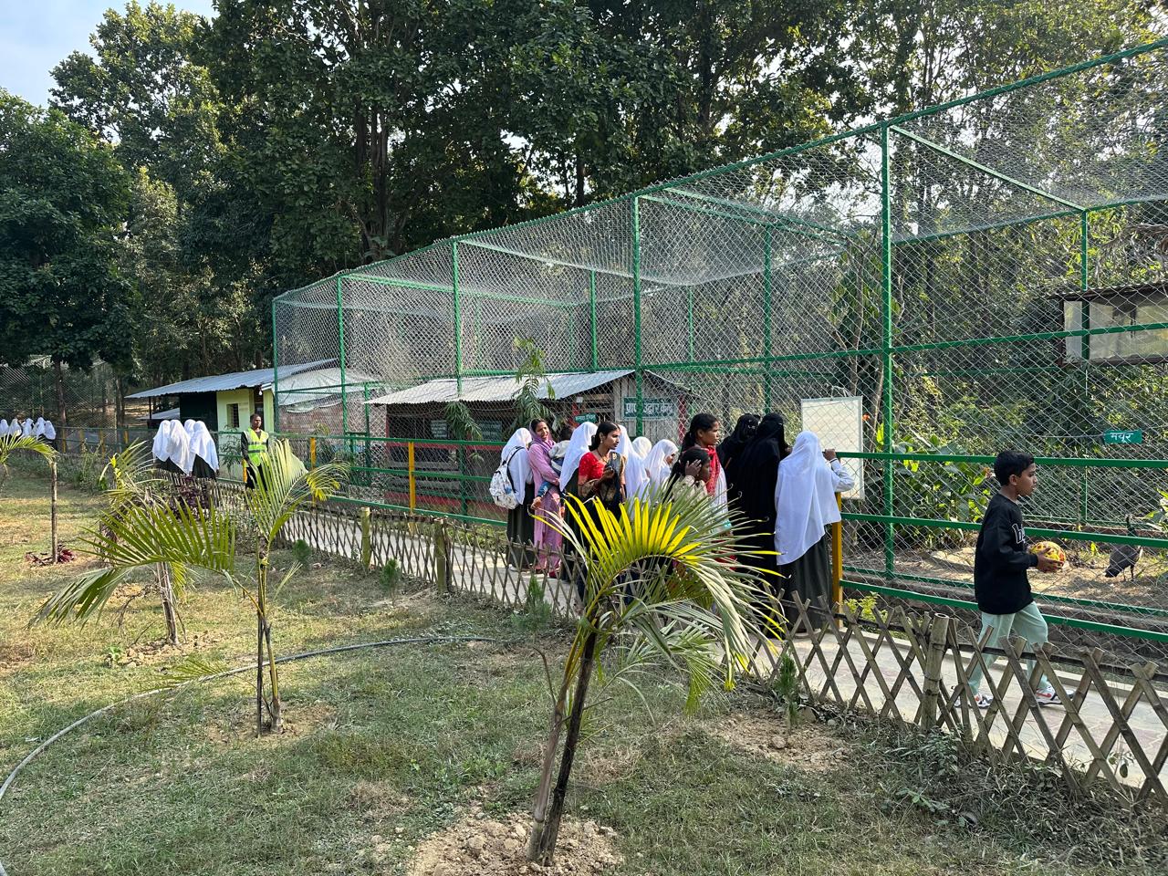 School Tours